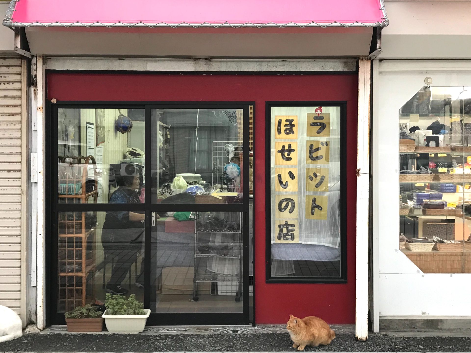 ほせいの店　ラビット